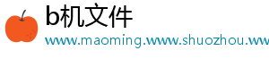 b机文件